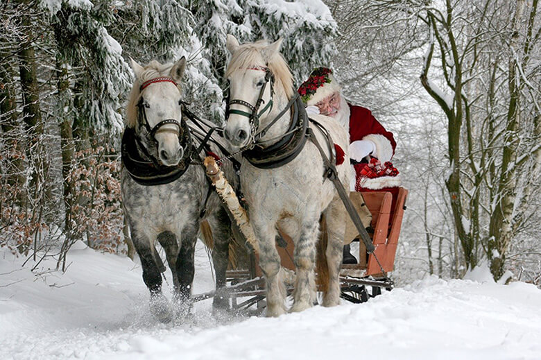 Joulupukki kahden valkoisen hevosen vetämän reen kyydissä talvisessa maisemassa.