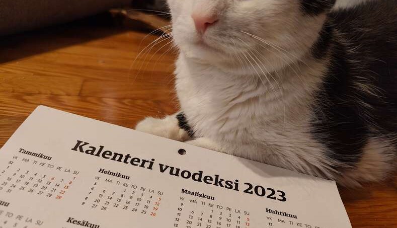 Kalenteri vuodelle 2023 ja kissa osittain.