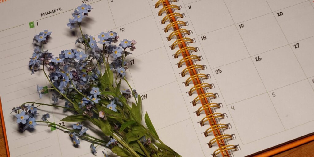 Kuva kalenteriaukeamasta. Kalenterin päällä pieni kimppu lemmikkikukkia.